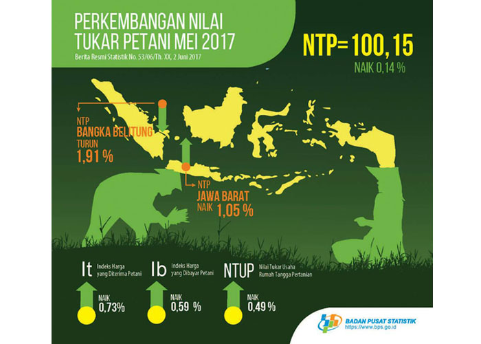 Petani Sejahtera Picu Penurunan Kemiskinan di Pedesaan, Ini Faktanya ....